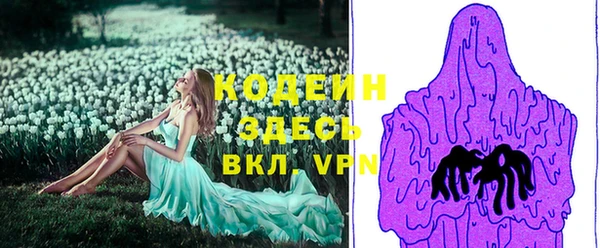 прущие грибы Гусиноозёрск