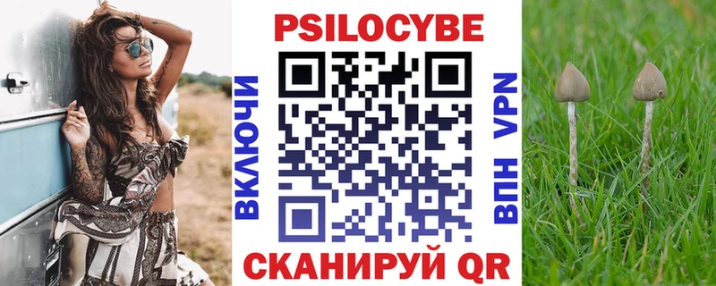 Галлюциногенные грибы GOLDEN TEACHER  сколько стоит  Гагарин 